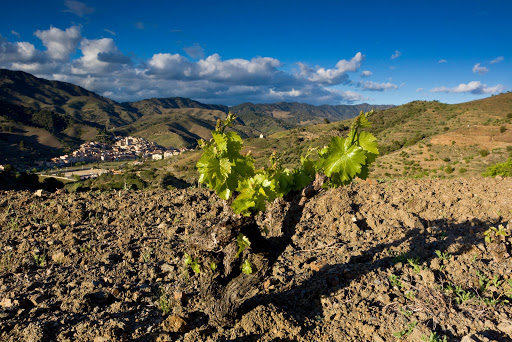 Priorat vins espagnols luxembourg vi(e)
