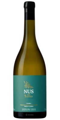 vines del Terrer Tarragona vins espagnols Luxembourg vi(e) sauvignon blanc