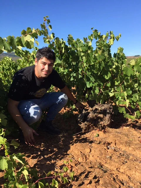 césar marque pérez bierzo vins espagnols Luxembourg vi(e)